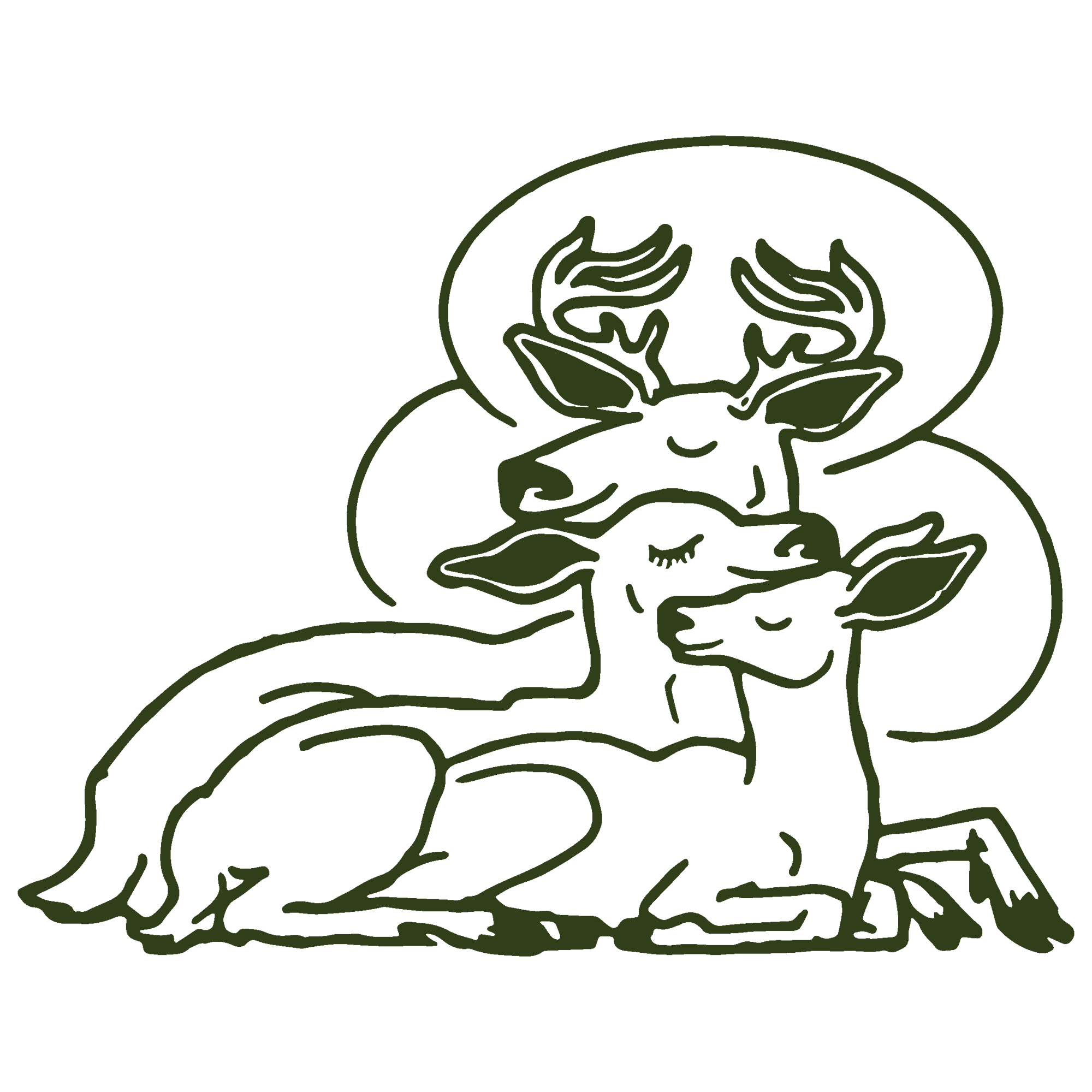 __holy deer fam